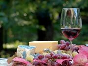 DEGUSTAZIONE DI VINO_ONLINE