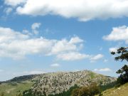 Trekking Monte Pollinello 39€ | CALABRIA