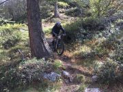 Mtb nel Parco Nazionale del Gran Paradiso da 80€ | PIEMONTE