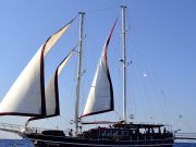sealife charter