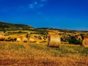 Tour guidato nel verde