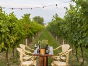 Aperitivo in Vigna 15€ – Perugia | UMBRIA